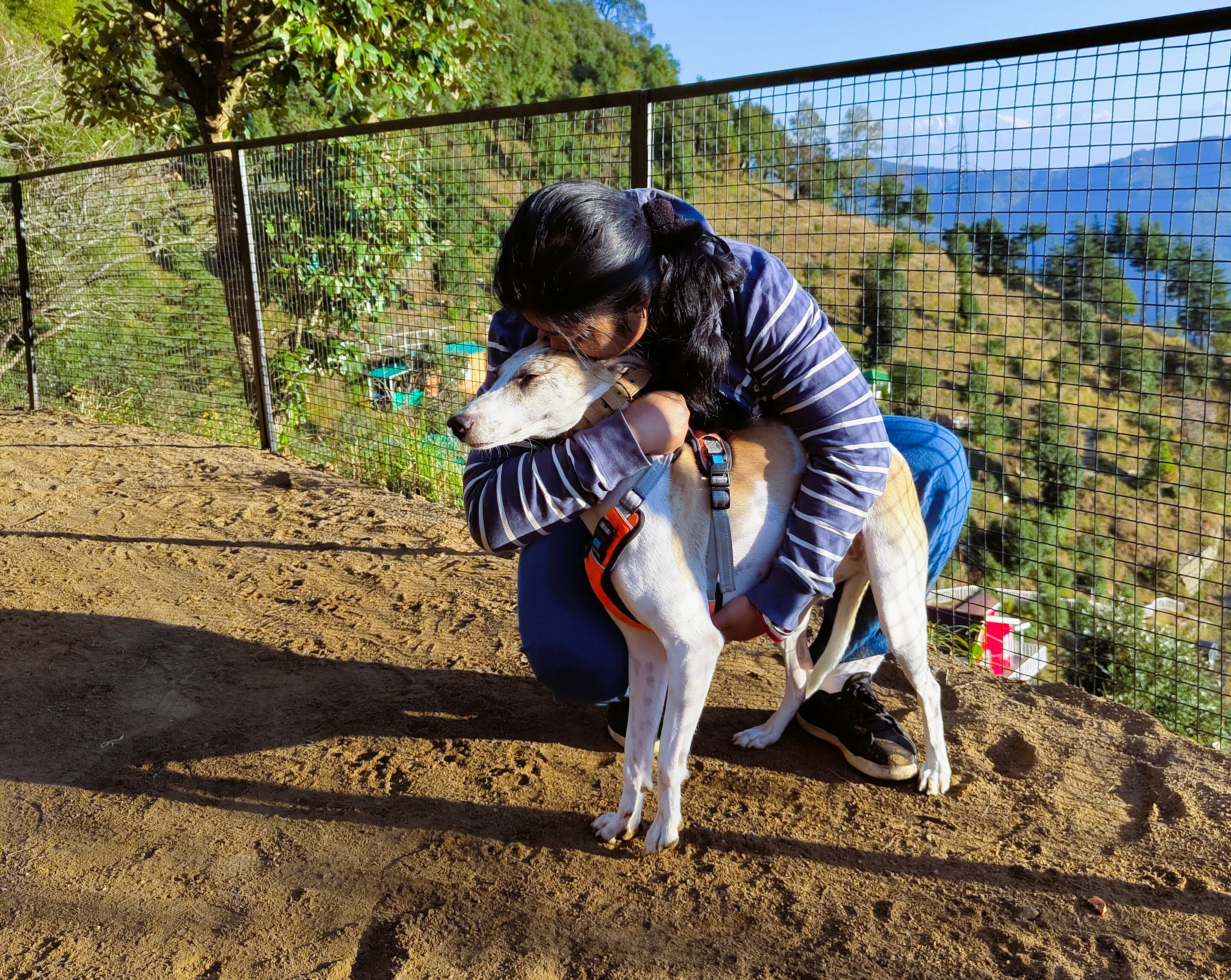 RADICAL SELF-COMPASSION: CULTIVATING INNER PEACE AND RESILIENCE