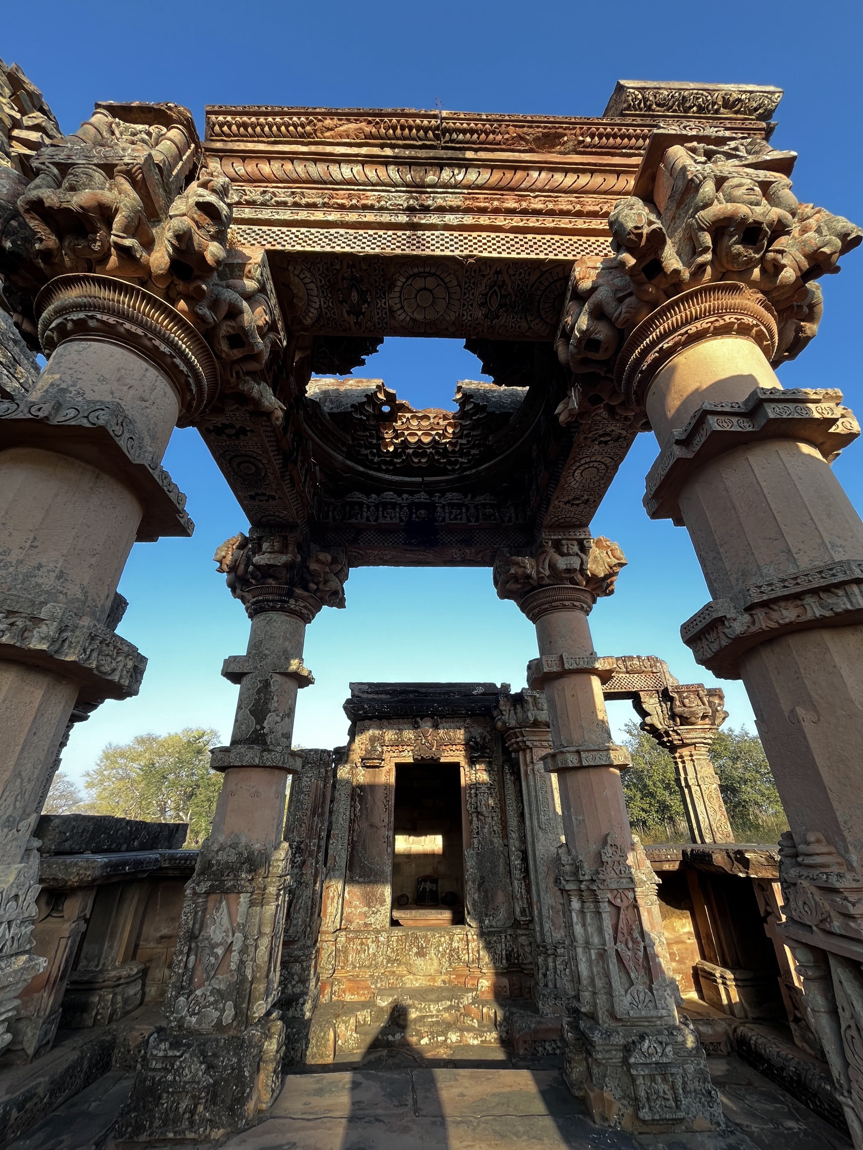 Spring Blossoms and Ancient Temples of Bundelkhand: Exploring Dudhai, Deogarh, Chandpur & Chanderi